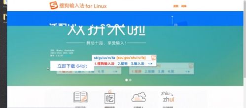 白帽子黑客与网络安全工程师视角 Kali Linux与Windows软件管理的异同